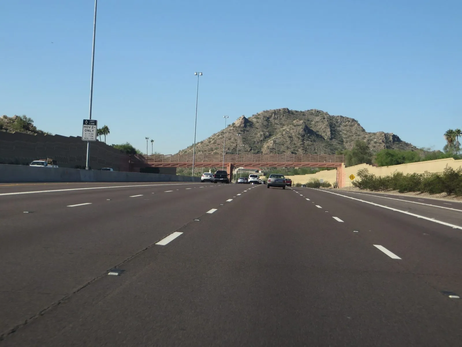 Spring Training in Phoenix: A First-Timer’s Guide